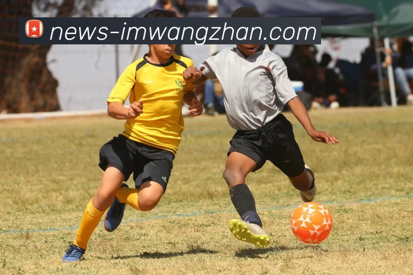 IM网站品牌故事